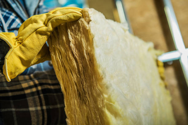 Professional Insulation Contractor in Vado, NM