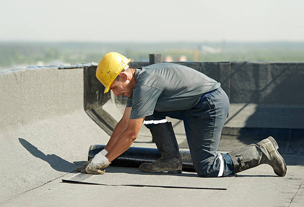 Best Commercial Insulation in Vado, NM